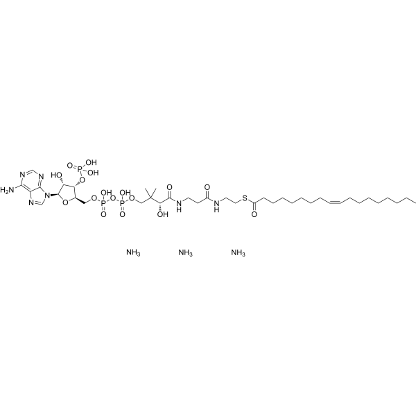 Oleoyl Coenzyme A triammonium 799812-89-8